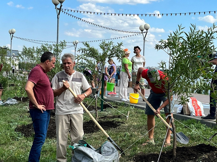 Жители Челябинска высадили семь шаровидных ив
