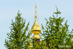 Городские зарисовки. Челябинск, купол храма, храм, церковь, вера, рпц, православие, лиственница