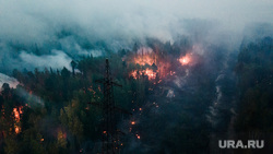 Горящий лес возле горы Волчиха. Свердловская область , лэп, лесной пожар, пожар в лесу, дым от пожара, пожар на волчихе
