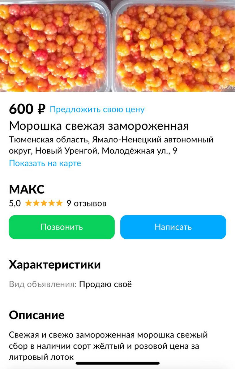 Жители ЯНАО начали зарабатывать, массово продавая морошку на «Авито» - фото