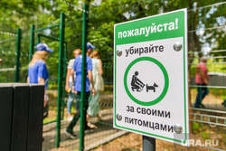 Наталья Котова на благоустройстве Тракторозаводского района. Челябинск , выгул собак, площадка для собак