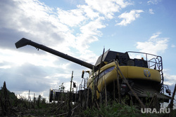 Уборка урожая подсолнечника на освобождённых территориях. Украина, поле, комбайн, уборка, подсолнечник
