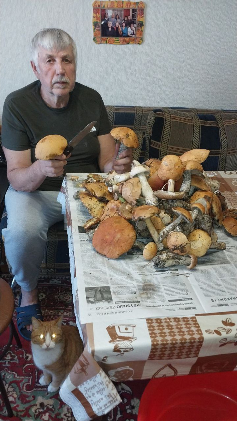 Из небывалого урожая белых грибов семья Ефимовых приготовила много разных блюд