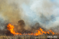 Учения МЧС по тушению ландшафтных пожаров в Троицком районе. Челябинск, пожар, лесной пожар, ландшафтный пожар