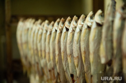 Производство рыбных консерв. Салехард, продукты, ряпушка, вяленая рыба, рыба, питание
