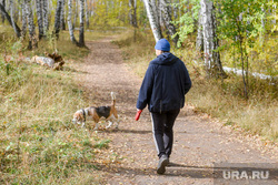 Наталья Котова на выездном совещании по перспективным объектам благоустройства и дорожного строительства. Челябинск, собака, выгул собак, пес, осень