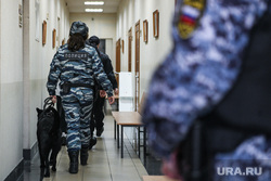 Мера пресечения по подростку, убившему свою подругу. Екатеринбург, железнодорожный районный суд