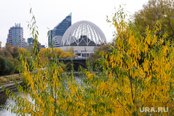 Осень в городе. Екатеринбург, желтые листья, золотая осень, природа, цирк екатеринбург