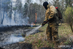 Лесные пожары, клипарт. Екатеринбург, лесной пожар, пожар в лесу, тушение лесных пожаров, пожарный