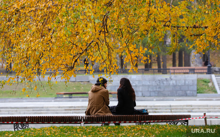 Осень в городе. Екатеринбург, пара, желтые листья, золотая осень, природа