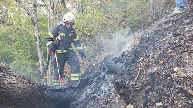 Огнеборцы тушат лесные пожары в Краснодарском крае