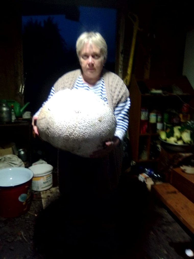 Гигантский гриб женщина нашла в Чебаркульском районе
