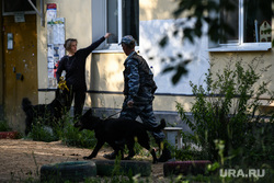 Поиски пропавшего ребенка на Вторчермете. Екатеринбург, кинолог, кинологическая служба, поиски пропавших людей, поиски человека