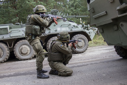 Вооруженные силы Украины. stock, всу, stock