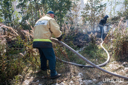Совет при Рослесхозе призвал создать новый орган по борьбе с пожарами