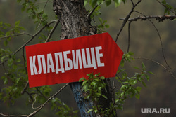 Кладбище в посёлке Чистопрудное. Курган, кладбище, последствие пожара, сгоревшее кладбище