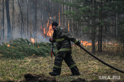 Депутат Госдумы Романов раскрыл, когда МЧС нужна помощь с расследованием причин пожаров