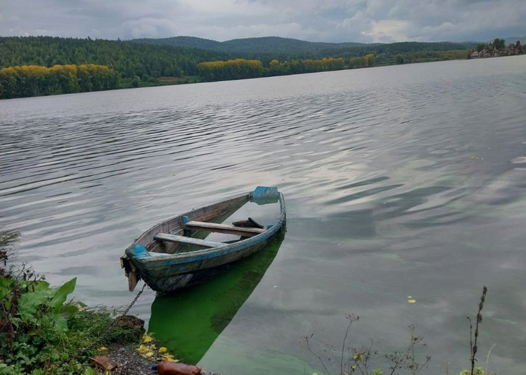 Воду для исследований передали экологам