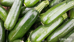 Продукты, овощи и фрукты. Тюмень, овощи, торговля, кабачки, кабачок, цукини