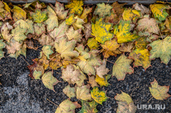 Ремонт улицы Куйбышева. Пермь, листопад, осенние листья, краски осени, осень в городе