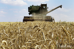 В Польше назвали сельское хозяйство Украины угрозой для всего ЕС