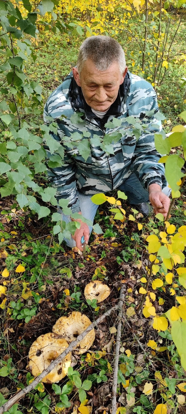 На грузди копейчане наткнулись в парке случайно