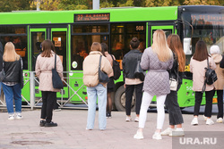 Остановки. Тюмень, остановка, автобусная остановка, автобус, общественный транспорт, остановка автобусная