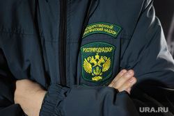 Уничтожение гашиша и конопли сотрудниками ФСБ. Курган, росприроднадзор