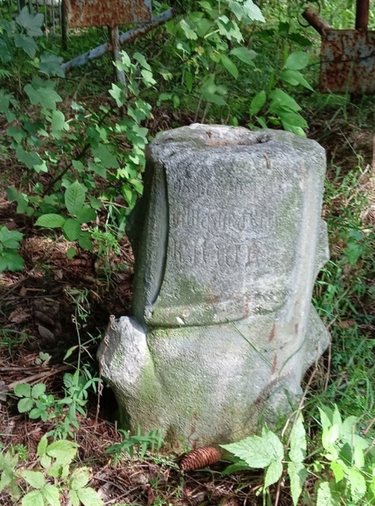 Надпись на «стволе» — надгробии гласит: «Анфиса Егоровна Кашина»