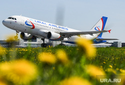 Сибиряки предложили открыть в самолете «Уральских авиалиний» в поле ресторан