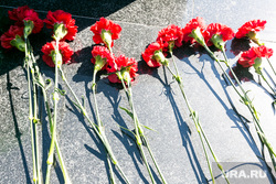 65 лет ТВВИКУ. Тюмень, могила, гвоздики, цветы на могиле, мемориал, цветы на кладбище