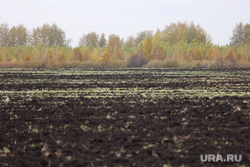 Уроки мужества в с. Белозерское. Курган, поле, пашня