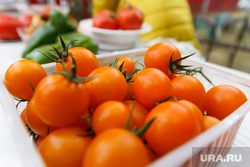 Клипарт. Магнитогорск, урожай овощей, помидоры, томаты