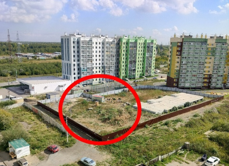 Живность местные жители заметили еще в сентябре