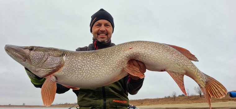 Рыбак из ХМАО Дмитрий Новиков поймал трофейную щуку весом более четырнадцати килограммов