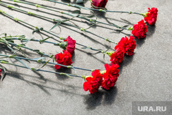 Клипарт. Возложение цветов, Мемориал на аллее Славы. Челябинск, гвоздики, цветы, мемориал