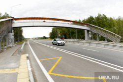 Открытие трассы М-5 «Урал». Челябинск , пешеходный мост, м5, автотранспорт, трасса м5, дорога, надземный переход