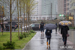 Дождливый клипарт. Екатеринбург.ЛГБТ, непогода, люди под зонтом, осень, дождь в городе