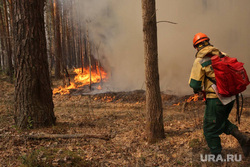 Правительство России компенсирует Тюмени затраты на тушение лесных пожаров