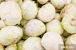 Продукты, овощи и фрукты. Тюмень, овощи, торговля, белокачанная капуста