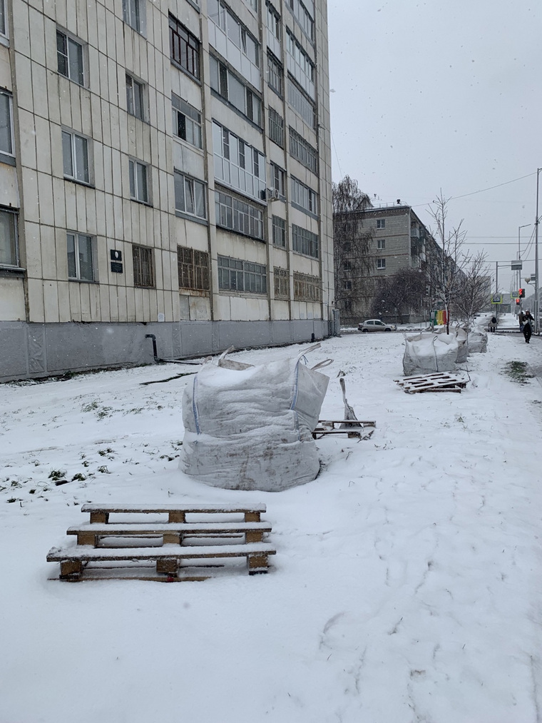 В Кургане третий год пытаются провести высадку деревьев в снег