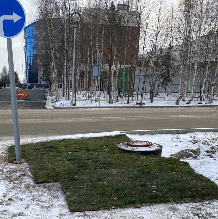 Травяной газон в Ноябрьске