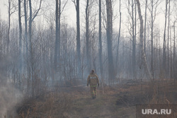 Куйвашев заплатил волонтерам, которые боролись с лесными пожарами