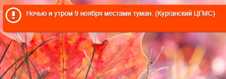 В Курганской области ожидается туман и дождь со снегом