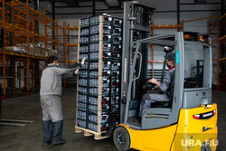 Прибытие первых крупных поставок плодоовощной продукции из Узбекистана. Екатеринбург, склад, погрузчик, разгрузка товара