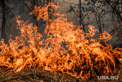 Ущерб от лесных пожаров в Тюменской области вдвое превысил показатели 2022 года