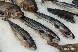 Клипарт с Ириной Текслер. Магнитогорск, продукты, замороженная рыба, еда