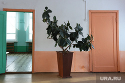 Визит губернатора Курганской области  Шумкова Вадима  в Петуховский район. Курган, сельская школа, школьный класс, школа