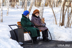 Город. Курган, зима, домашние животные, пенсия, пенсионерки на скамейке, женщины на лавочке, домашняя собака
