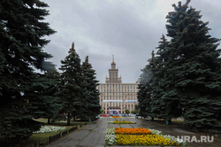 Виды Челябинска, город челябинск, юургу, голубые ели